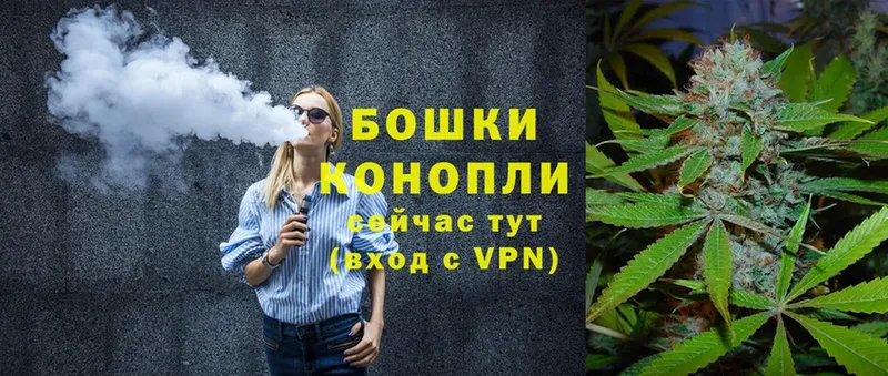 Конопля OG Kush  Тара 